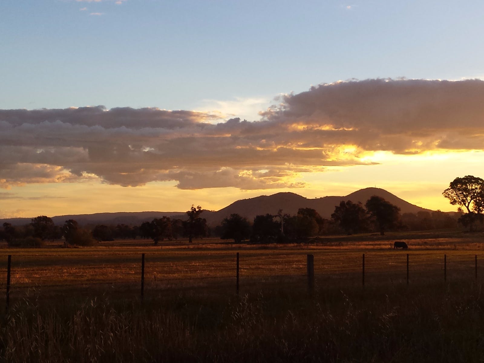 Lake Eildon panoramic view from the hills